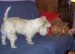 100_7476.JPG