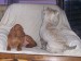 100_7479.JPG