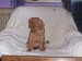 100_7481.JPG