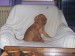 100_7483.JPG