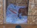 100_7493.JPG