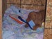 100_7494.JPG