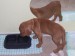 100_7495.JPG