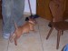 100_7450.JPG