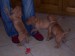 100_7452.JPG