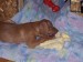 100_7515.JPG