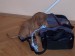 100_7516.JPG