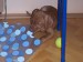 100_7519.JPG