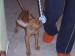 100_7521.JPG