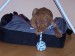 100_7522.JPG