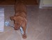 100_7523.JPG