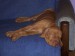 100_7557.JPG