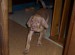 100_7568.JPG