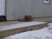 100_7582.JPG
