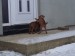 100_7583.JPG