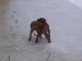 100_7587.JPG