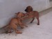 100_7593.JPG