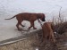 100_7595.JPG