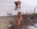 100_7596.JPG