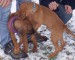 100_7601.JPG