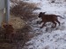 100_7602.JPG