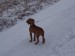100_7605.JPG
