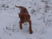 100_7609.JPG