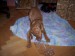 100_7628.JPG