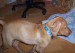 100_7629.JPG