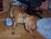 100_7636.JPG